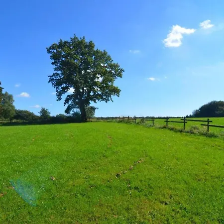 Hébergement de vacances Holiday Home In Saint Vith Near Museums, Cleaning Included *